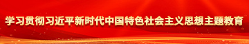 逼www学习贯彻习近平新时代中国特色社会主义思想主题教育